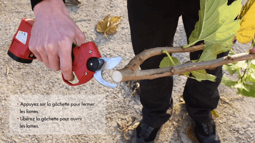 Viticulture, arboriculture - Sécateurs - Sécateur à batterie KS2000