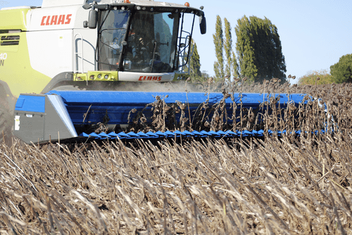 Récolte - Autre matériel de récolte - Barre de coupe POGET