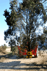 Matériel forestier - Grappin forestier - Grappin XYLOCUT - XYLOGRIP