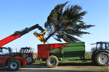 Matériel forestier - Grappin forestier - Grappin XYLOCUT - XYLOGRIP