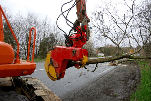 Matériel forestier - Grappin forestier - Grappin XYLOCUT - XYLOGRIP