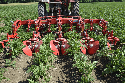 Entretien - Bineuses - Bineuse butteuse HILLSTAR