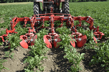 Entretien - Bineuses - Bineuse butteuse HILLSTAR