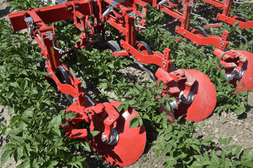 Entretien - Bineuses - Bineuse butteuse HILLSTAR