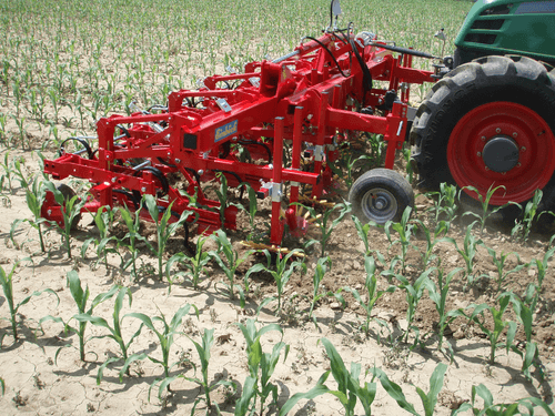 Entretien - Bineuses - Bineuse CHOPSTAR