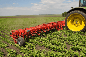 Entretien - Bineuses - Bineuse CHOPSTAR