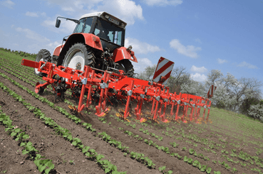 Entretien - Bineuses - Bineuse CHOPSTAR