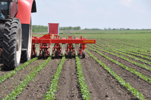 Entretien - Bineuses - Bineuse CHOPSTAR