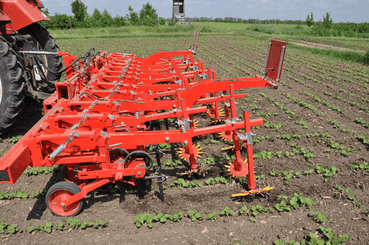 Entretien - Bineuses - Bineuse CHOPSTAR