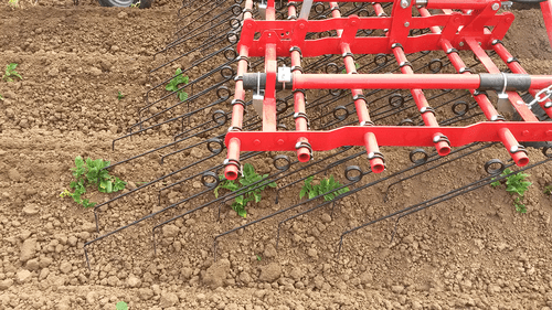 Entretien - Herse étrille - Herse étrille AEROSTAR FUSION