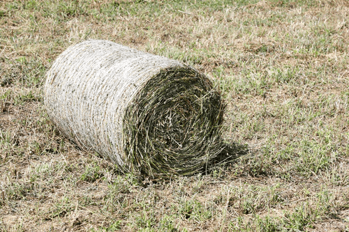 Récolte - Presses balles rondes - Presse mini round ballers
