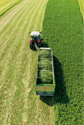 Récolte - Autochargeuses - Faucheuse autochargeuse AB, VENERE et GIUNONE