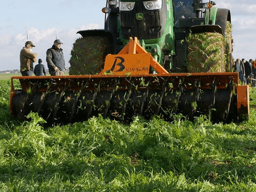 Entretien - Rouleau - Rouleau BIOLA