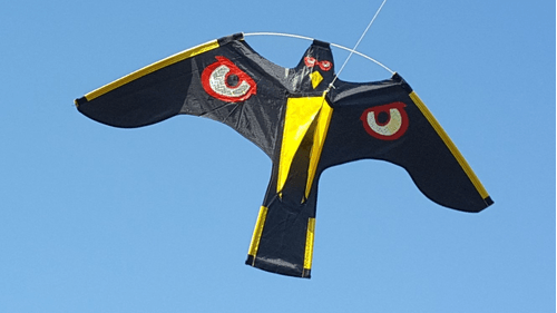 Pièces détachées - Pièces déttachées - Cerf volant PRÉDATOR 2 et mat acier