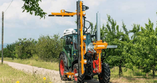 Entretien - Taille viti-arbo - Lamier arboricole