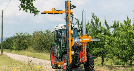 Entretien - Taille viti-arbo - Lamier arboricole