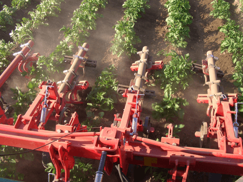 Entretien - Bineuses - Bineuse à doigts ROLLSTAR