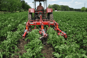 Entretien - Bineuses - Bineuse à doigts ROLLSTAR