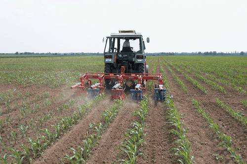 Entretien - Bineuses - Bineuse à doigts ROLLSTAR