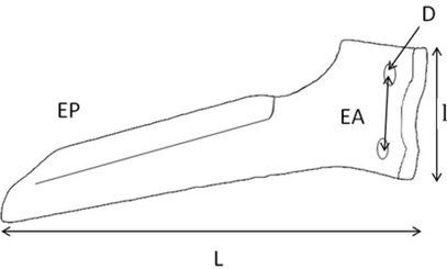 Pièces d'usure outil animé - Howard - Dent de herse boulonnée 300 x 15 droite origine