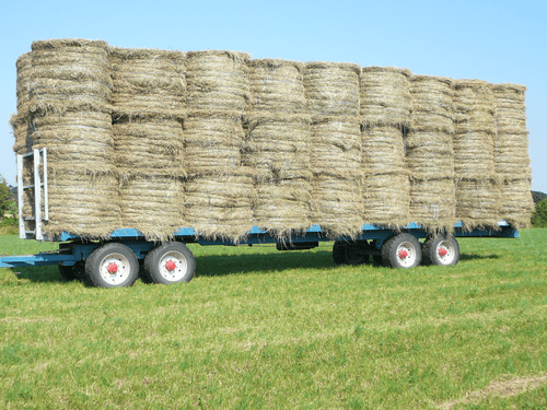 Transport - Plateaux fourrager - Plateau fourrager semi porté, trainé