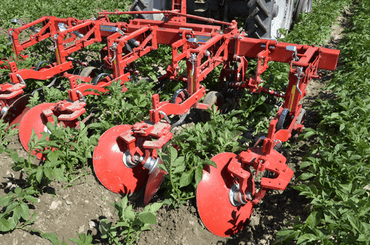 Entretien - Bineuses - Bineuse butteuse HILLSTAR