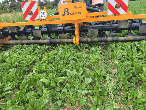 Entretien - Désherbeuses - Arracheuse mauvaises herbes TIG'AIR