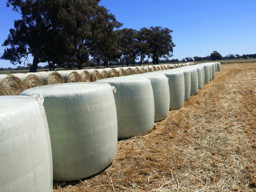 Récolte - Enrubanneuses - Enrubanneuse 1400 V