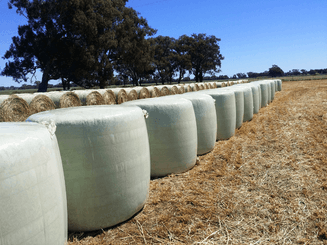 Récolte - Enrubanneuses - Enrubanneuse 1400 V