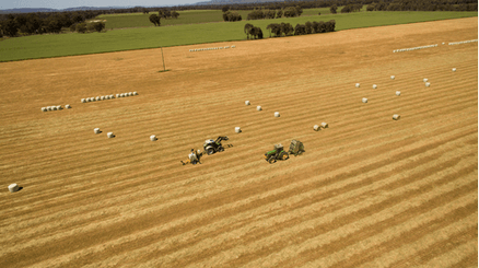 Récolte - Enrubanneuses - Enrubanneuse 1400 V