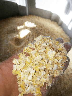 Alimentation - Aplatisseur à grains - Aplatisseur floconneur