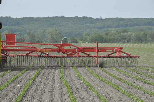 Entretien - Herse étrille - Herse étrille AEROSTAR FUSION