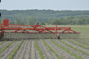 Entretien - Herse étrille - Herse étrille AEROSTAR FUSION