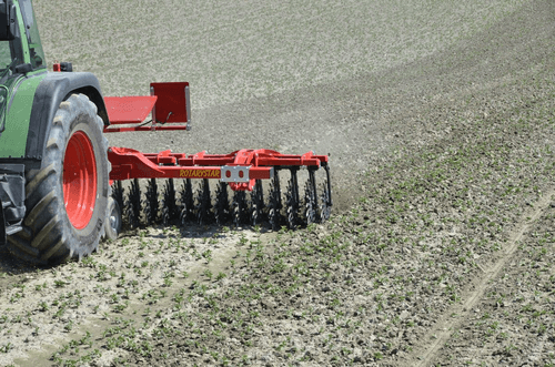 Entretien - Houe rotative - Ecrouteuse ROTARYSTAR