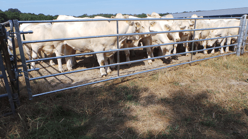 Matériel d'élevage - Barrière herbage - Barrière d'herbage