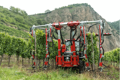Entretien - Rogneuses - Rogneuse viti-arbo ÉLITE