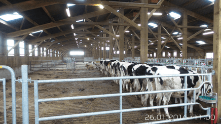 Matériel d'élevage - Barrière herbage - Barrière  4 lisses