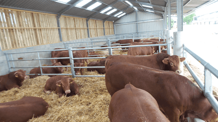 Matériel d'élevage - Barrière herbage - Barrière  4 lisses