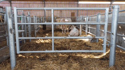 Matériel d'élevage - Barrière herbage - Barrière  4 lisses