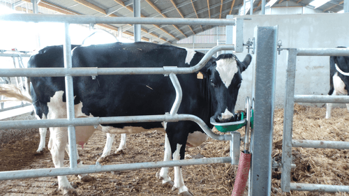 Matériel d'élevage - Barrière herbage - Barrière  4 lisses