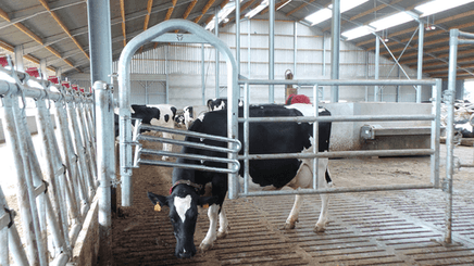 Matériel d'élevage - Barrière herbage - Barrière  4 lisses