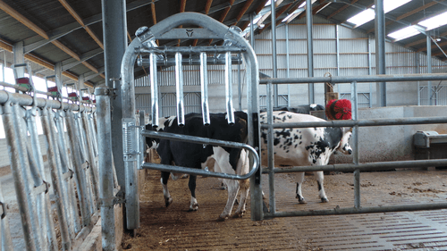 Matériel d'élevage - Barrière herbage - Barrière  4 lisses