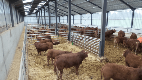 Matériel d'élevage - Barrière herbage - Barrière 5 lisses