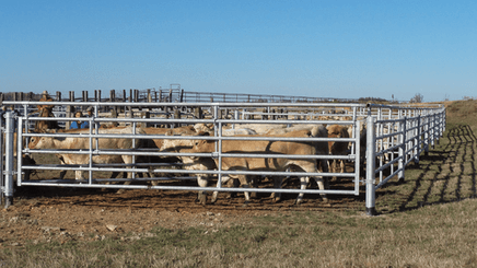 Matériel d'élevage - Barrière herbage - Barrière 5 lisses