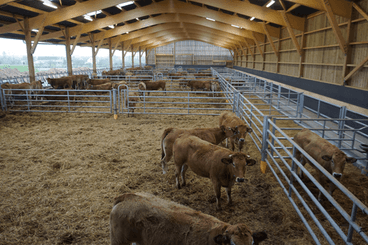 Matériel d'élevage - Barrière herbage - Barrière 5 lisses