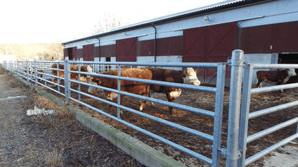 Matériel d'élevage - Barrière herbage - Barrière 5 lisses