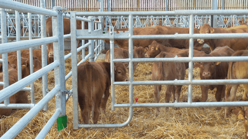 Matériel d'élevage - Barrière herbage - Barrière 5 lisses