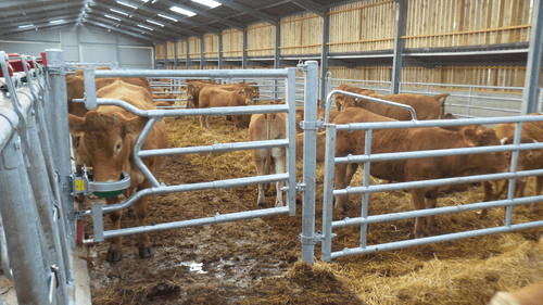 Matériel d'élevage - Barrière herbage - Barrière 5 lisses