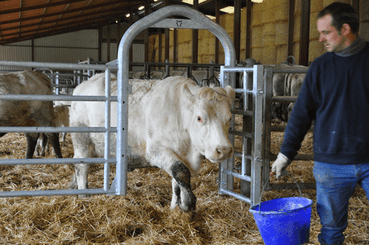 Matériel d'élevage - Barrière herbage - Barrière 5 lisses