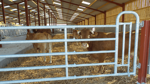 Matériel d'élevage - Barrière herbage - Barrière 5 lisses